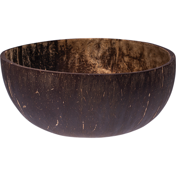 Coconut Shell Bowl