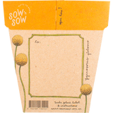 Gift of Seeds Greeting Cards