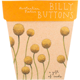 Gift of Seeds Greeting Cards