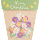 Gift of Seeds Greeting Cards