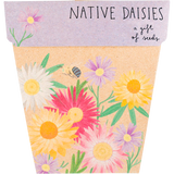 Gift of Seeds Greeting Cards